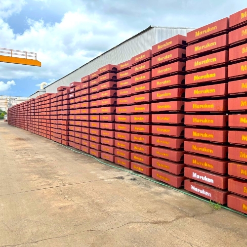 Steel Deck